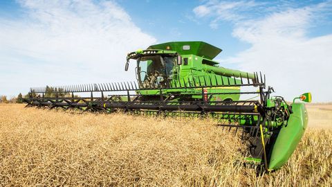 Discover Grain Harvester Rentals: Tips, Advice, and Important Facts